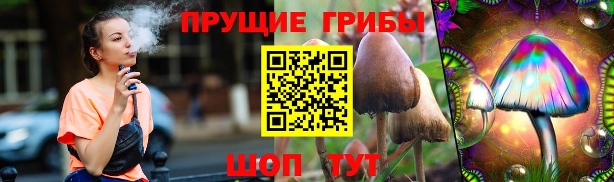 Псилоцибиновые грибы Magic Shrooms  Вход с VPN  Электрогорск 